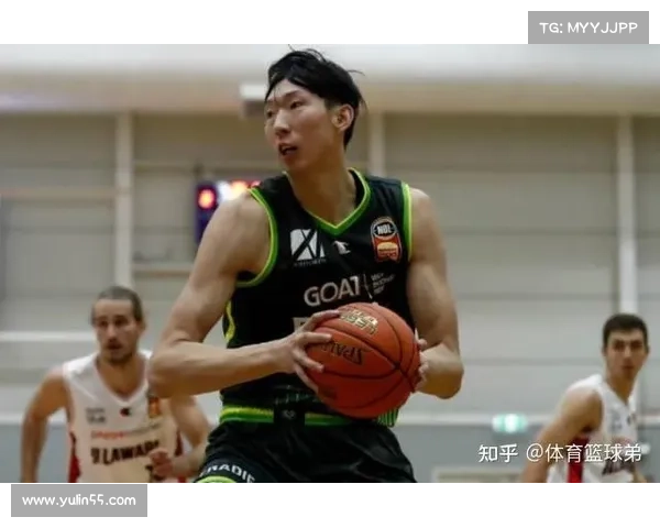 周琦重返新疆的五大关键原因解析及其深远影响