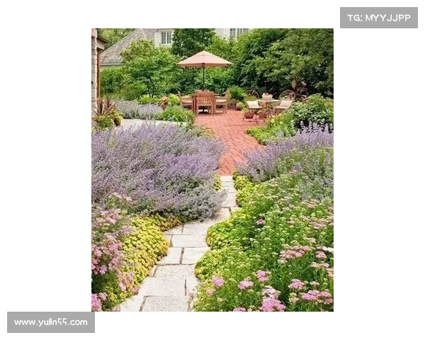 安赛龙分享家庭园艺制作过程视频，教你打造绿色家园新技巧