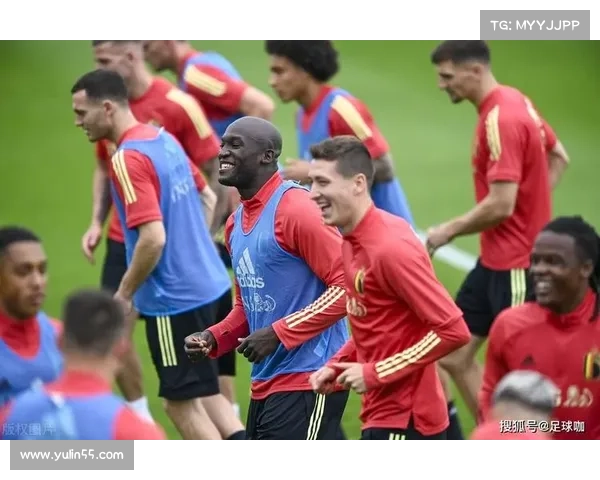 德国在2012年欧洲杯小组赛中逆袭荷兰 关键时刻彰显实力